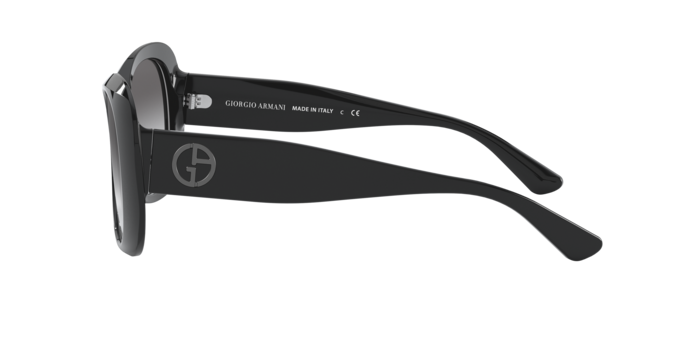 Giorgio Armani AR8132 500111  